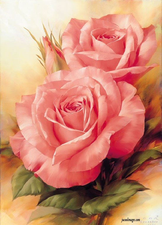 №136223 - цветы, роза - оригинал