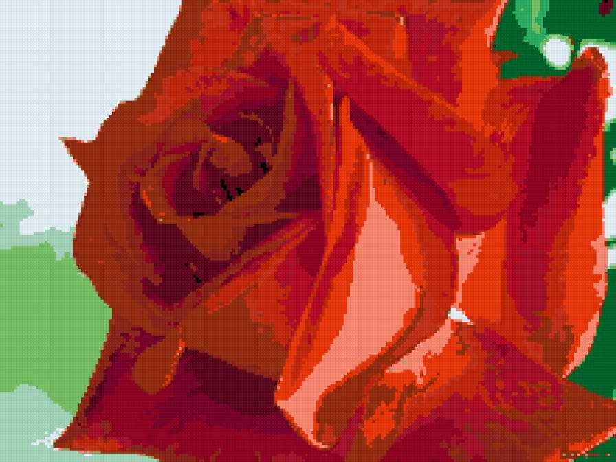 любимые розы 8 - предпросмотр