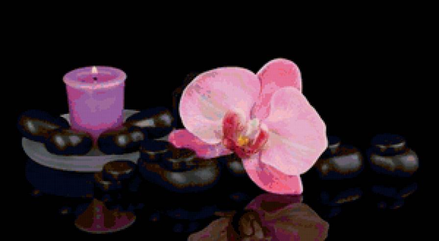 орхидея и свеча - цветы - предпросмотр