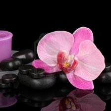 Схема вышивки «орхидея и свеча»