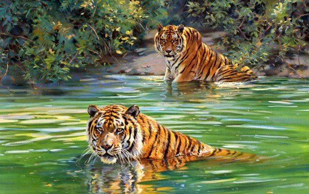 Тигры - животные, кошки, тигры - оригинал