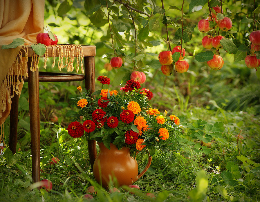 Бархатцы на фоне - натюрморт, цветы, бархатцы, лето, букет, яблоки - оригинал
