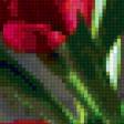Предпросмотр схемы вышивки «Тюльпаны, цветы, нарюрморт» (№136939)