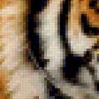 Предпросмотр схемы вышивки «тигр» (№137142)