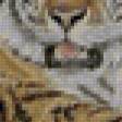 Предпросмотр схемы вышивки «тигр» (№137157)