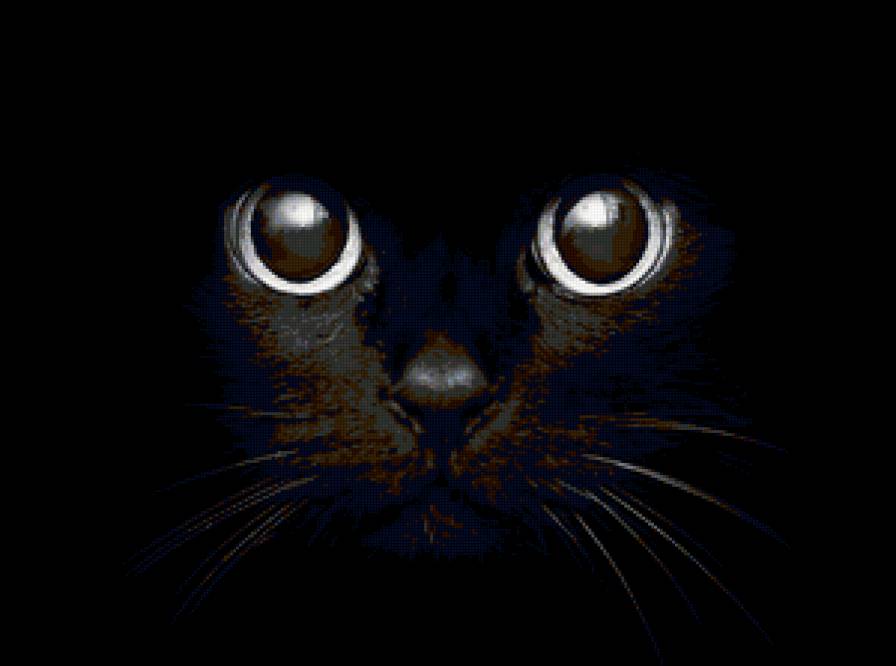 №137180 - киса, черный кот, кот - предпросмотр