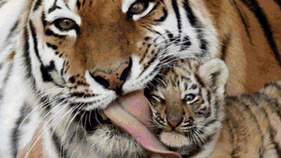 тигринная мама - животные, природа, тигр - предпросмотр