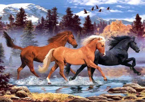 лошадки - животные, кони, лошади, конь, лошадь, тройка - оригинал