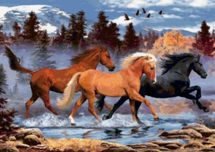 лошадки - кони, животные, лошадь, тройка, конь, лошади - предпросмотр