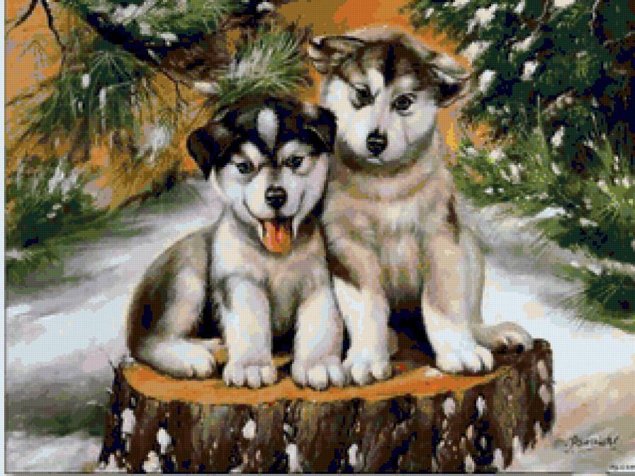 Малыши - щенки, собачки, собаки, рождество, зима, малыши, животные, хаски - предпросмотр