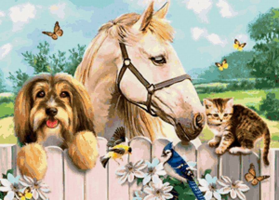 животные - лошадь, птица, картина, собаки, собака, кошка, птицы, котенок, щенок - предпросмотр