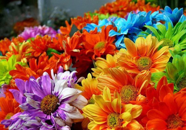 цветочки))) - букет, цветы, лето - оригинал