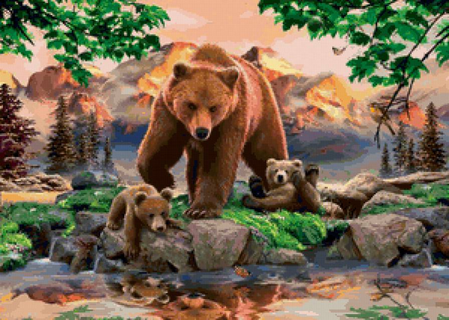 медведь - мишки, медведи, медвежата, медвеженок, мишка, животные - предпросмотр