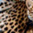 Предпросмотр схемы вышивки «леопарды» (№137381)