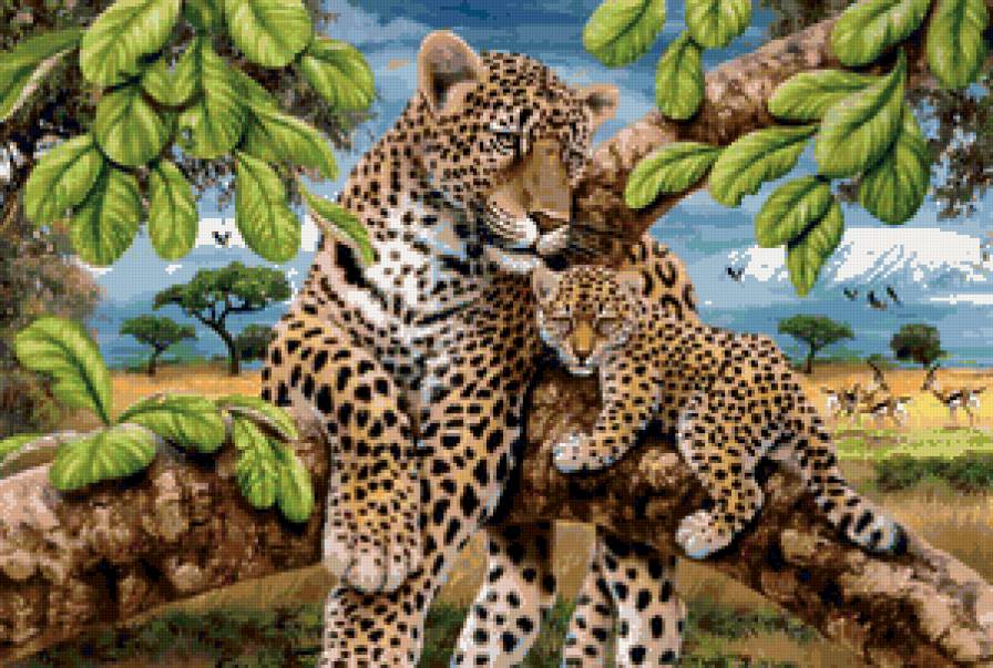 леопарды - леопардик, леопард, хищники, кошки, животные, африка - предпросмотр