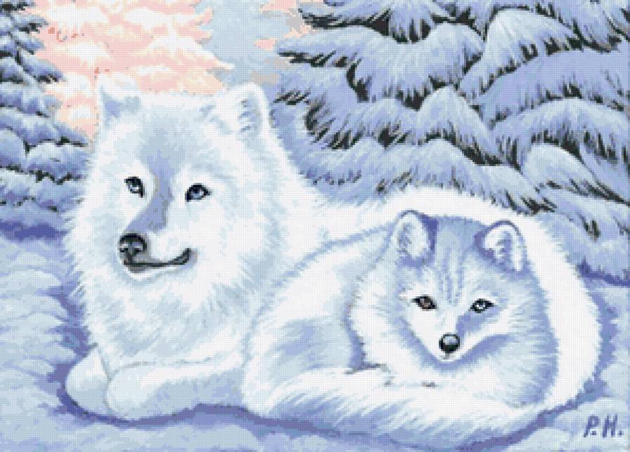 Белые волки - wolf, природа. зима, волки, хищник, звери, волк, animals - предпросмотр
