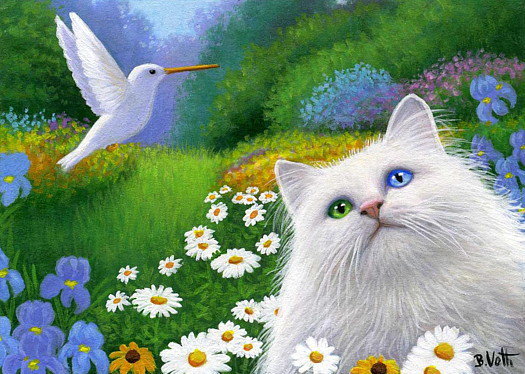 Кот и птичка - кот, цветы, птица, колибри, кошка, птичка, кошки, ромашки - оригинал