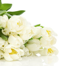 Оригинал схемы вышивки «белые тюльпаны» (№137833)