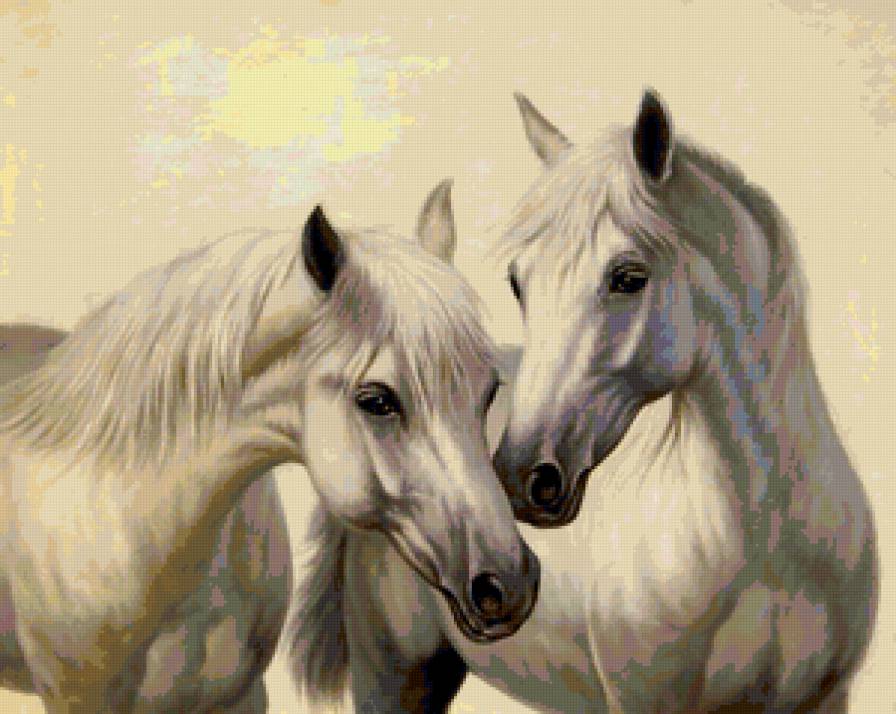 белые кони - предпросмотр