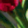 Предпросмотр схемы вышивки «тюльпаны» (№137951)