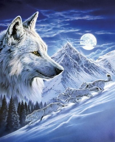 Волки - животные, пейзаж, живопись, волки - оригинал