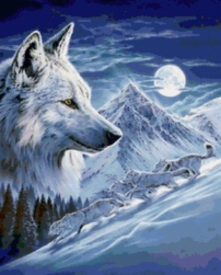 Волки - животные, волки, пейзаж, живопись - предпросмотр