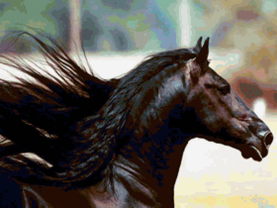 №138022 - жеребец, лошади, кони - предпросмотр