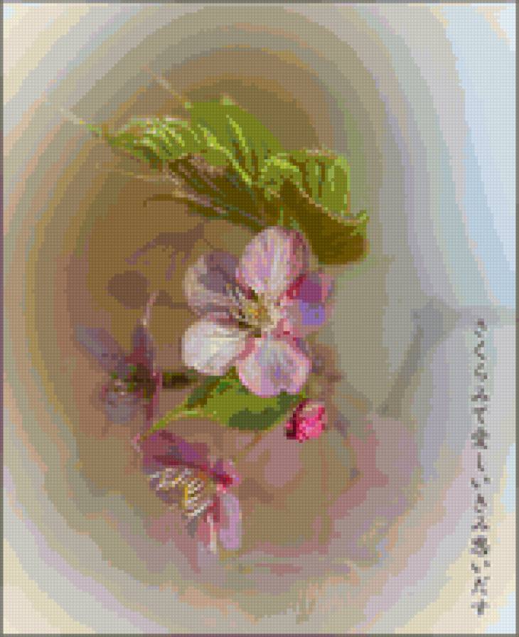 Персиковый цветок - предпросмотр