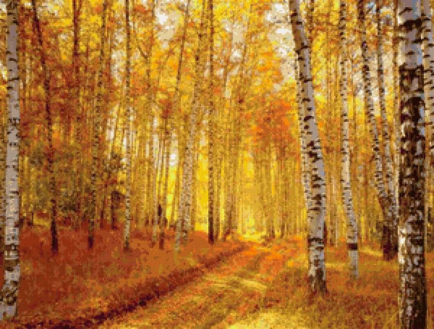 Осенний лес - осень, пейзаж - предпросмотр