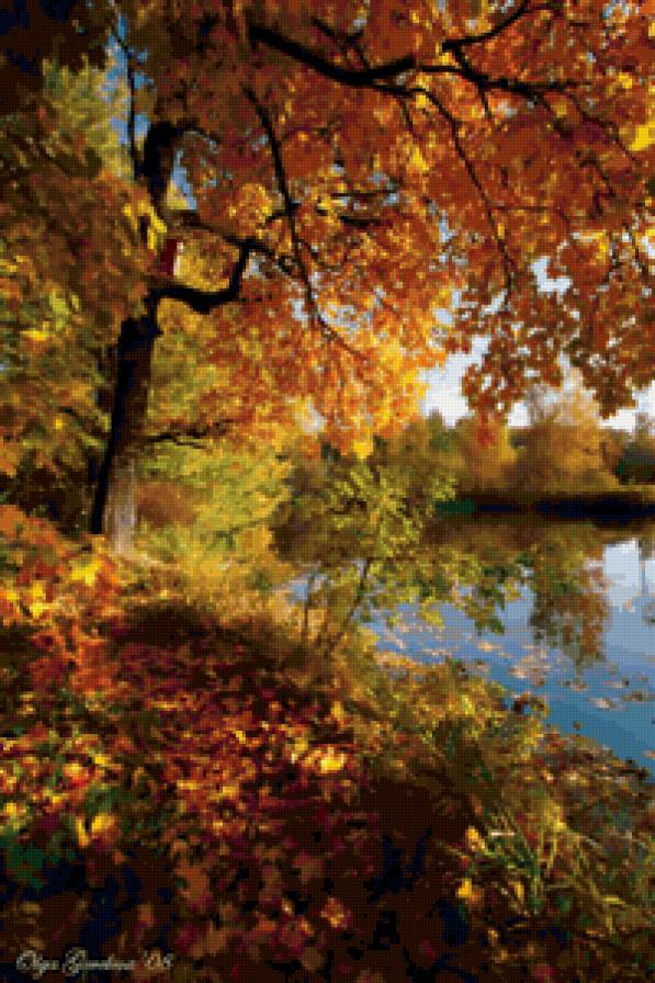 №138247 - осень, природа, картина, озеро - предпросмотр