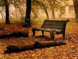 autumn - park, landscape - оригинал