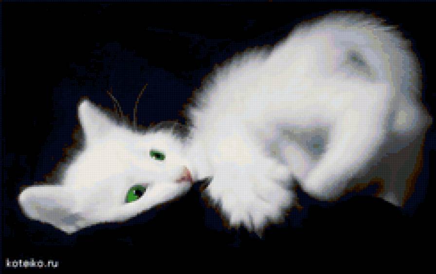Зеленоглазая котенька - черно-белое, животные, кошки - предпросмотр