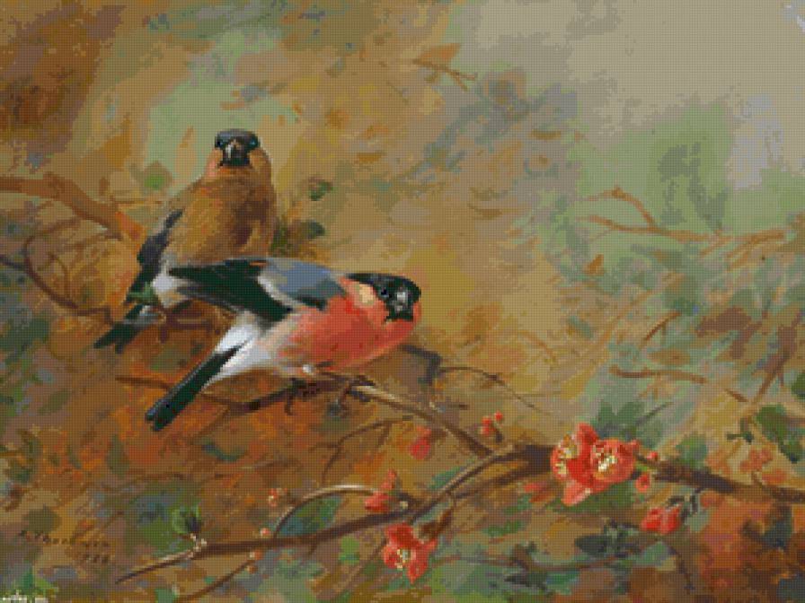 пташки - птицы, яркие краски - предпросмотр