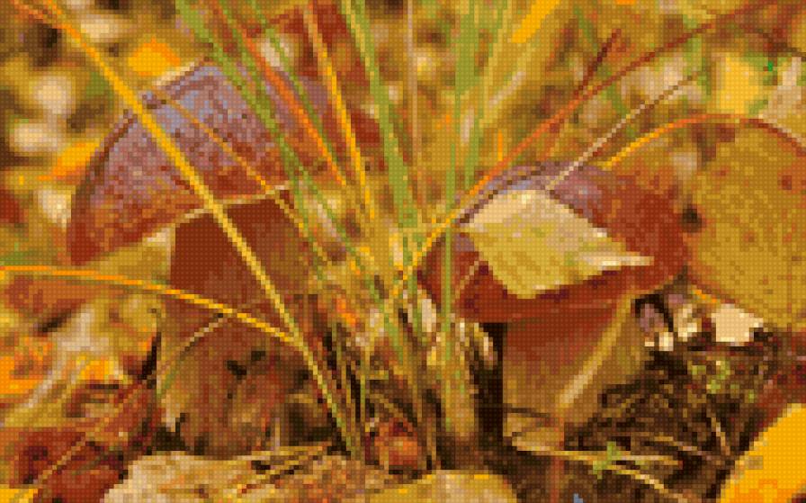 Грибочки - осень, грибы - предпросмотр