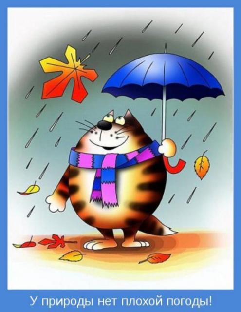 У природы - кот, дождь, детское - оригинал