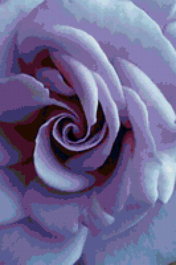Цветок - цветы, фиолетовое, роза, подушка, сиреневое, картина - предпросмотр