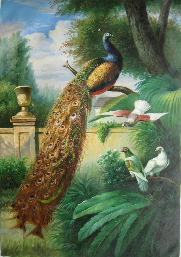Павлин - птицы, сад - оригинал