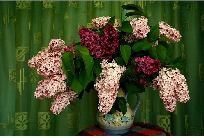 Букет серени - цветы, ваза, букет, живопись - оригинал