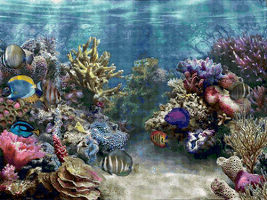 риф - рыбки, кораллы, море, вода, риф - предпросмотр