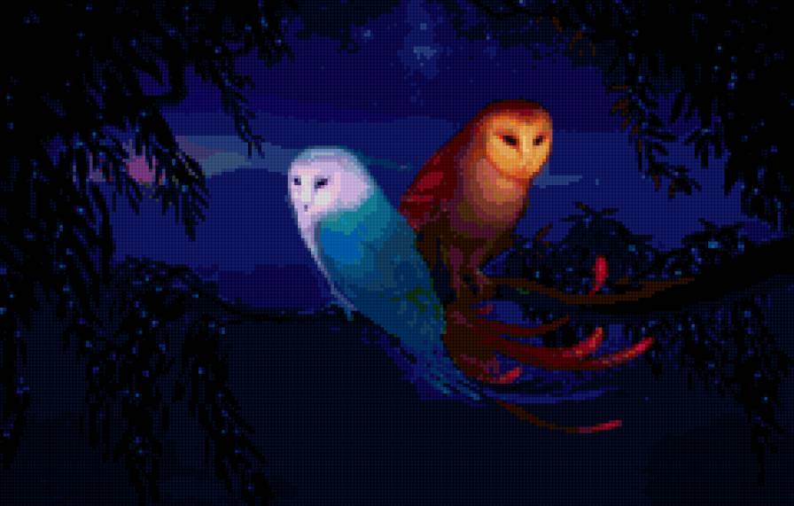 две совы - животные, любовь, ночь, птицы, совы - предпросмотр