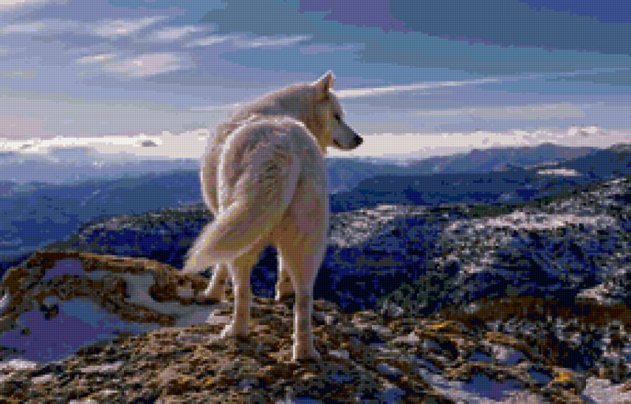 Волк - пейзаж, природа, волк, зима, животные - предпросмотр