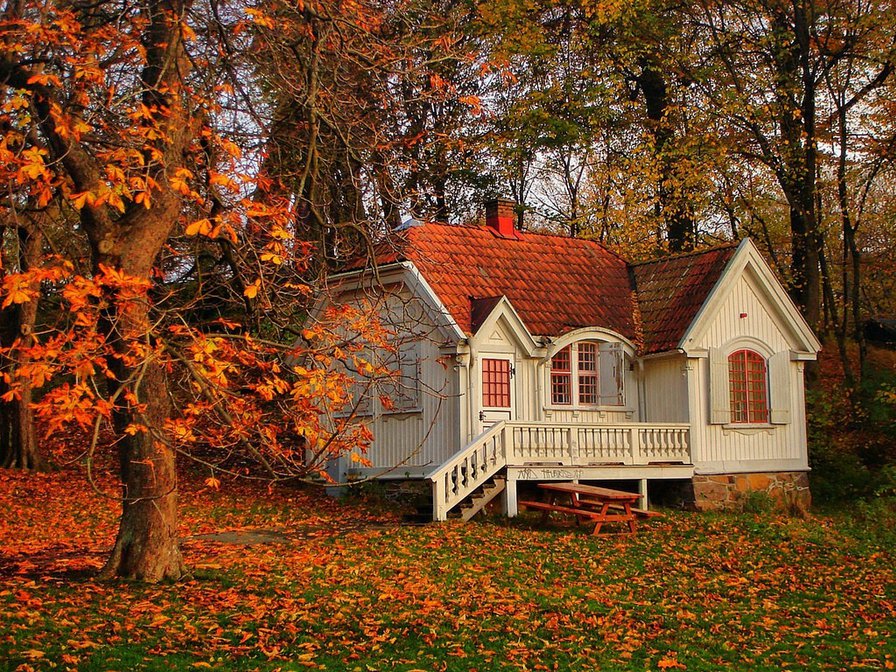 Серия "Осень" Домик в лесу - осень, домик, деревья, пейзаж - оригинал