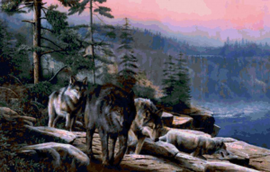 Три волка - животные, природа, волк, пейзад - предпросмотр