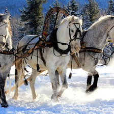 Схема вышивки «Тройка белых лошадей»