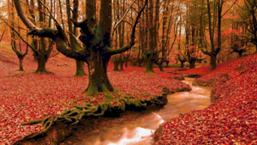 Серия "Осень" Ручей в лесу - река, пейзаж, ручей, деревья, осень, вода - предпросмотр