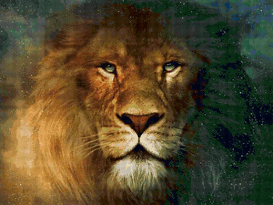 Лев - лев, царь зверей, животные, кошки - предпросмотр
