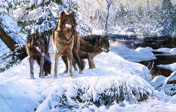 Трое волков - волк, природа, животные, пейзаж, зима - оригинал
