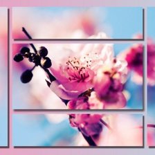 Оригинал схемы вышивки «цветок сакуры» (№141226)