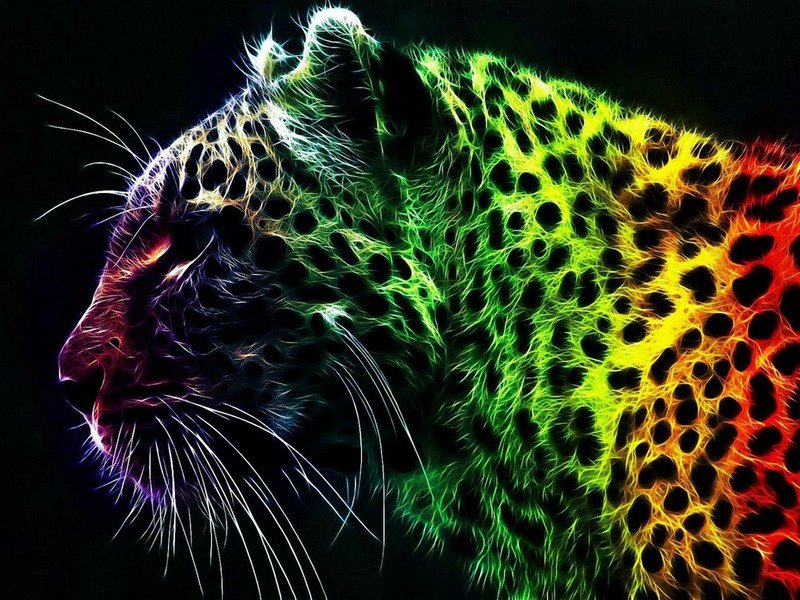 леопардик - радуга, леопард - оригинал
