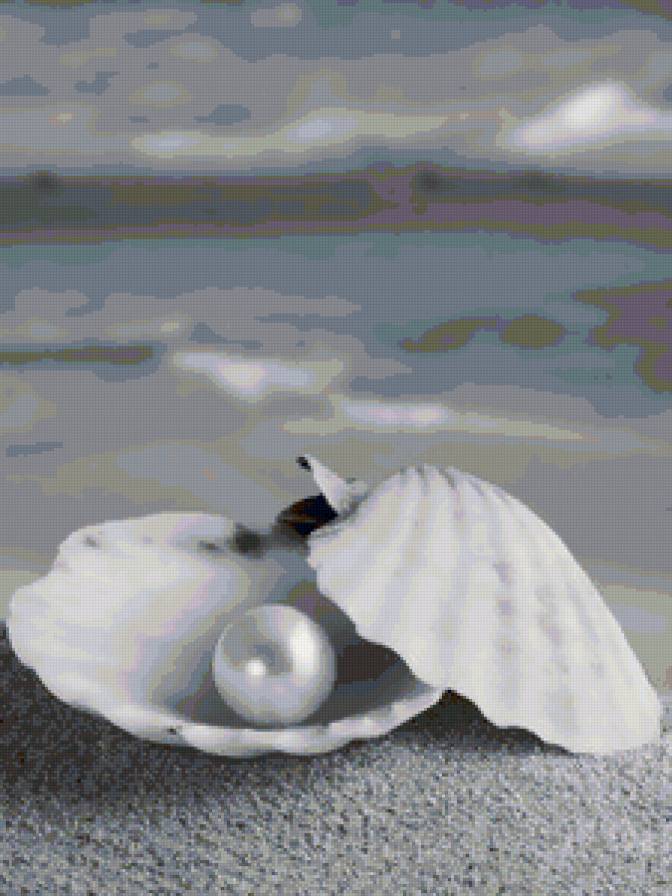 ракушка - жемчуг, ракушка, песок, море - предпросмотр